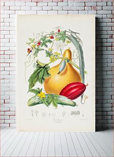 Πίνακας, Cucurbitaceae, The Gourd Tribe, from Illustrations of the Natural Orders of Plants