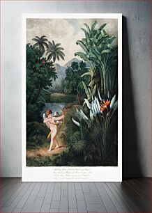 Πίνακας, Cupid Inspiring Plants with Love from The Temple of Flora (1807) by Robert John Thornton