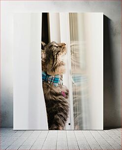 Πίνακας, Curious Cat at the Window Περίεργη γάτα στο παράθυρο