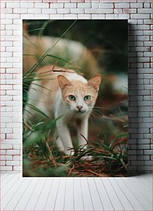 Πίνακας, Curious Cat in the Grass Περίεργη γάτα στο γρασίδι