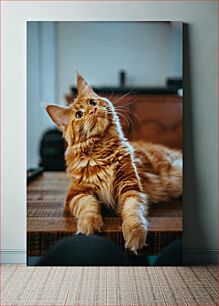 Πίνακας, Curious Cat on the Table Περίεργη γάτα στο τραπέζι