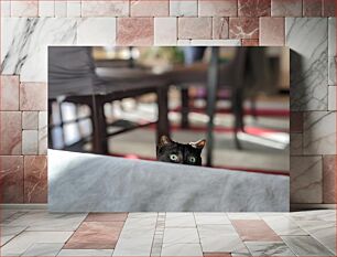 Πίνακας, Curious Cat Peeking Περίεργη γάτα που κρυφοκοιτάζει