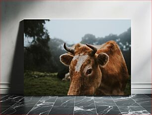 Πίνακας, Curious Cow in Foggy Field Περίεργη αγελάδα στο ομιχλώδες πεδίο