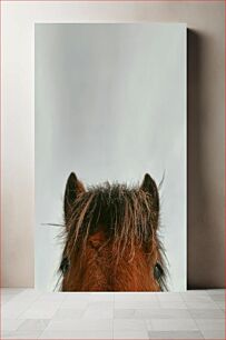 Πίνακας, Curious Horse Περίεργο άλογο