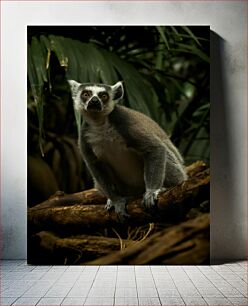 Πίνακας, Curious Lemur in the Jungle Περίεργος Λεμούριος στη Ζούγκλα
