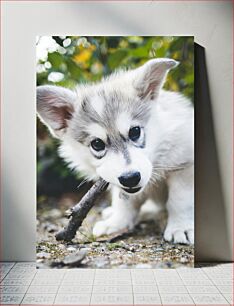 Πίνακας, Curious Puppy with a Stick Περίεργο κουτάβι με ένα ραβδί