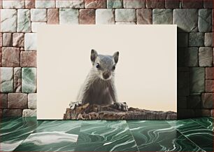 Πίνακας, Curious Squirrel on a Log Περίεργος σκίουρος σε ένα κούτσουρο