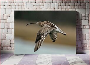 Πίνακας, Curlew in Flight Curlew in Flight