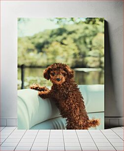 Πίνακας, Curly-Haired Dog by the Lake Σγουρός σκύλος δίπλα στη λίμνη