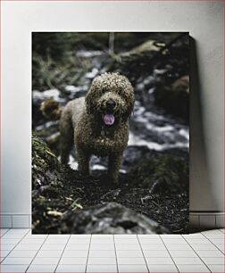 Πίνακας, Curly-Haired Dog in a Forest Σγουρός σκύλος σε ένα δάσος