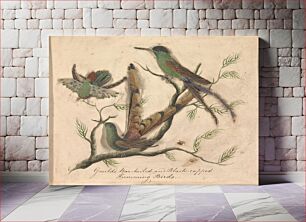 Πίνακας, Cut-paper featherwork illustrations of birds