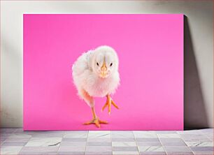 Πίνακας, Cute Chick on Pink Background Χαριτωμένο γκόμενο σε ροζ φόντο