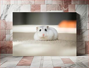 Πίνακας, Cute Hamster Χαριτωμένο χάμστερ