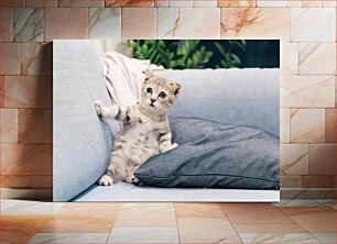 Πίνακας, Cute Kitten on a Couch Χαριτωμένο γατάκι σε έναν καναπέ