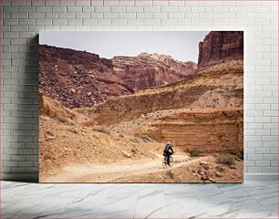 Πίνακας, Cyclist in Desert Canyon Ποδηλάτης στο Desert Canyon