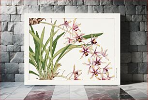 Πίνακας, Cymbidium orchid, Japanese woodblock art