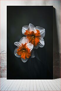 Πίνακας, Daffodil Blossoms Άνθη ασφόδελου
