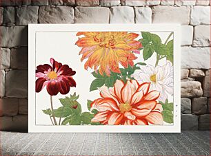 Πίνακας, Dahlia flower, Japanese woodblock art