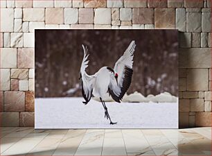 Πίνακας, Dancing Crane in Snow Χορευτικός γερανός στο χιόνι