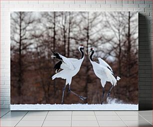 Πίνακας, Dancing Cranes in Winter Γερανοί που χορεύουν το χειμώνα