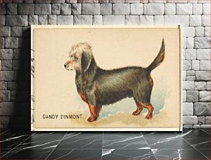 Πίνακας, Dandy Dinmont, from the Dogs of the World series for Old Judge Cigarettes