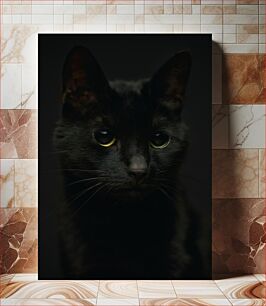 Πίνακας, Dark Cat Portrait Πορτρέτο Σκοτεινής Γάτας