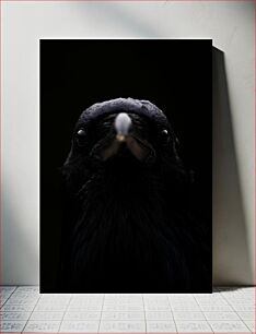 Πίνακας, Dark Crow Close-Up Κοντινό πλάνο Dark Crow