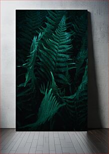 Πίνακας, Dark Fern Leaves Σκούρα φύλλα φτέρης