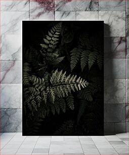 Πίνακας, Dark Ferns in Nature Σκοτεινές φτέρες στη φύση