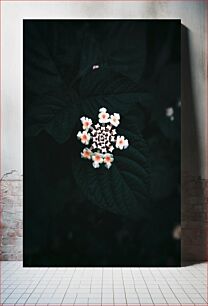 Πίνακας, Dark Floral Close-up Σκούρο λουλουδάτο γκρο πλαν