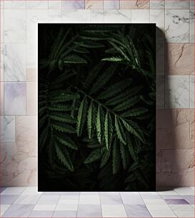 Πίνακας, Dark Green Fern Leaves Σκούρα Πράσινα Φύλλα Φτέρης