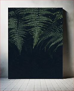 Πίνακας, Dark Green Ferns Σκούρο Πράσινες Φτέρες