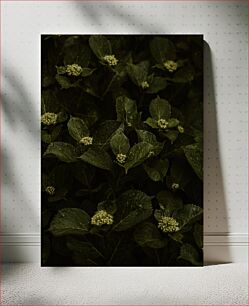 Πίνακας, Dark Green Foliage with Budding Flowers Σκούρο πράσινο φύλλωμα με εκβλαστήματα λουλούδια