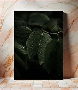 Πίνακας, Dark Leaves with Water Drops Σκούρα Φύλλα με Σταγόνες Νερού