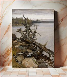 Πίνακας, Dead pine in the water, 1898, Eero Järnefelt