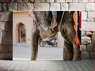 Πίνακας, Decorated Elephant with Rider Διακοσμημένος ελέφαντας με αναβάτη