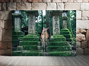 Πίνακας, Deer Among Ancient Mossy Pillars Ελάφια ανάμεσα σε αρχαίους πυλώνες με ποώδη