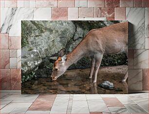 Πίνακας, Deer Drinking Water Πόσιμο νερό ελαφιών