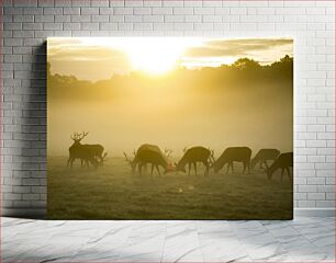 Πίνακας, Deer Grazing at Sunrise Ελάφια που βόσκουν στο Sunrise