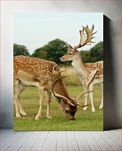 Πίνακας, Deer Grazing in a Meadow Ελάφια που βόσκουν σε ένα λιβάδι