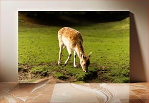 Πίνακας, Deer Grazing on Grass Ελάφια που βόσκουν στο γρασίδι