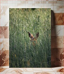 Πίνακας, Deer Hidden in Tall Grass Ελάφια κρυμμένα σε ψηλό γρασίδι