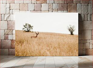 Πίνακας, Deer in a Meadow Ελάφια σε Λιβάδι