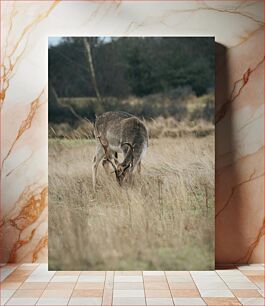 Πίνακας, Deer in Field Ελάφια στο χωράφι