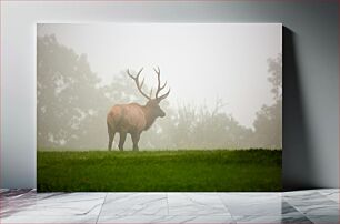 Πίνακας, Deer in Foggy Landscape Ελάφια σε ομιχλώδες τοπίο