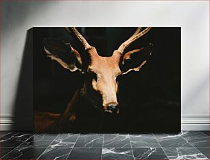 Πίνακας, Deer in Low Light Ελάφια σε χαμηλό φως