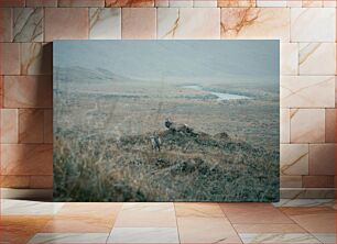 Πίνακας, Deer in Misty Field Ελάφια στο Misty Field