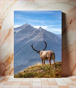 Πίνακας, Deer in Mountain Landscape Ελάφια στο ορεινό τοπίο