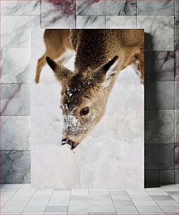 Πίνακας, Deer in Snow Ελάφια στο χιόνι