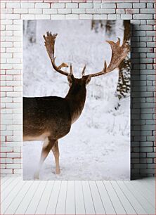 Πίνακας, Deer in Snowy Forest Ελάφια στο Χιονισμένο Δάσος